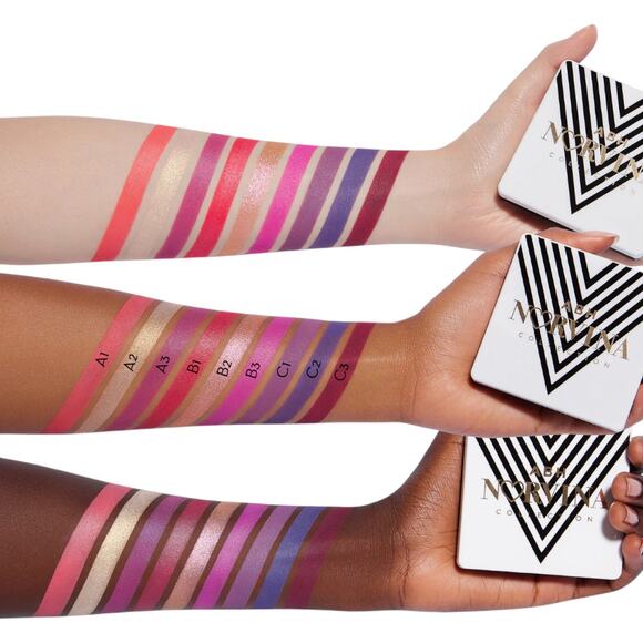 Anastasia Norvina Mini Pro Pigment Palette Vol. 1 NWT Eyeshadow - Picture 2 of 6